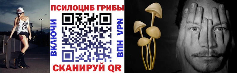 Галлюциногенные грибы Psilocybine cubensis  Ступино 