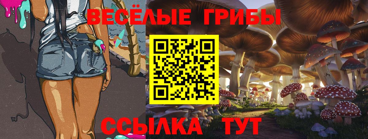 Галлюциногенные грибы мицелий Ступино