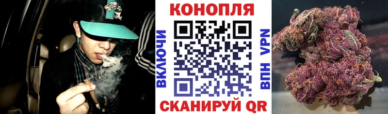 Бошки марихуана VHQ Ступино
